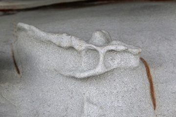 P1012470a.jpg